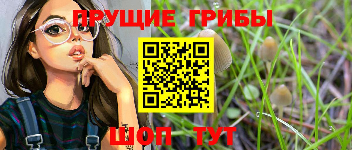 Галлюциногенные грибы Psilocybine cubensis  купить наркоту  Новокуйбышевск  Вход с VPN 